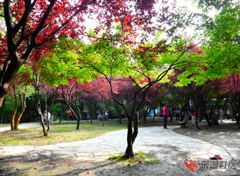 QQ图片20130608222920.jpg