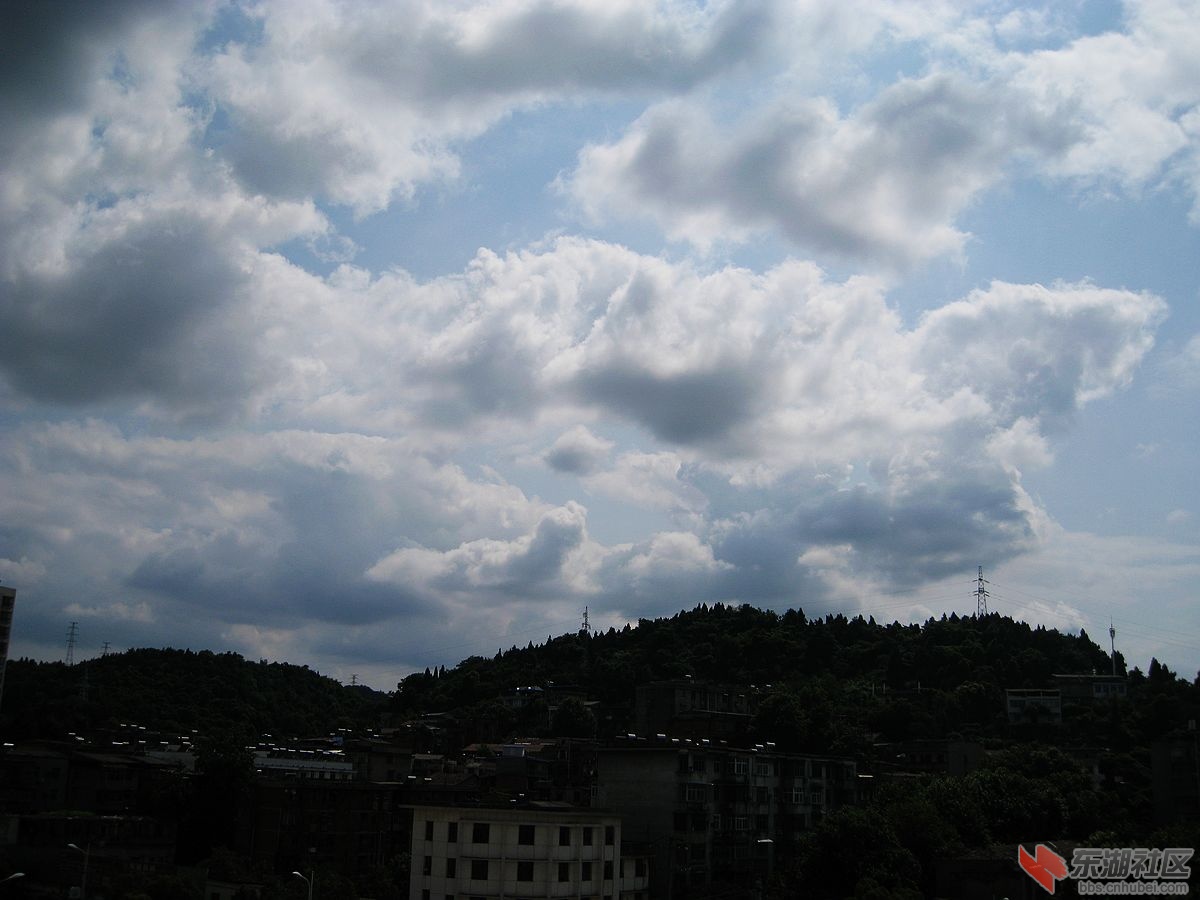 nEO_IMG_IMG_0796.jpg