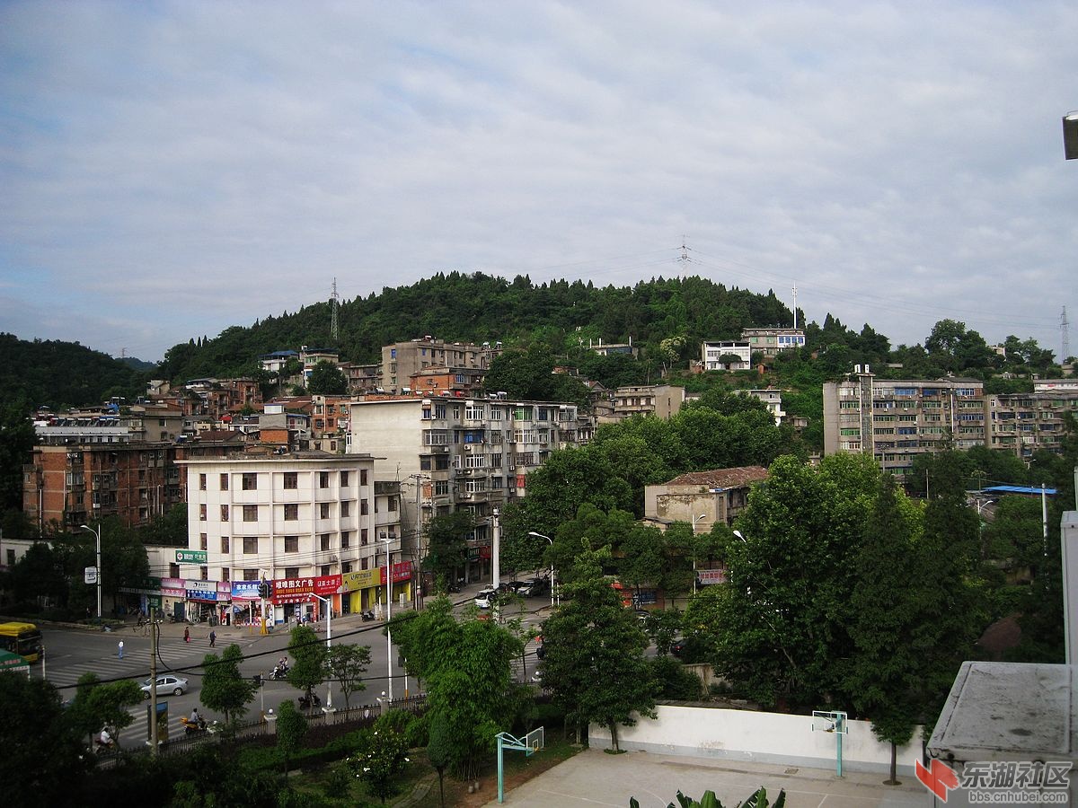 nEO_IMG_IMG_0802.jpg