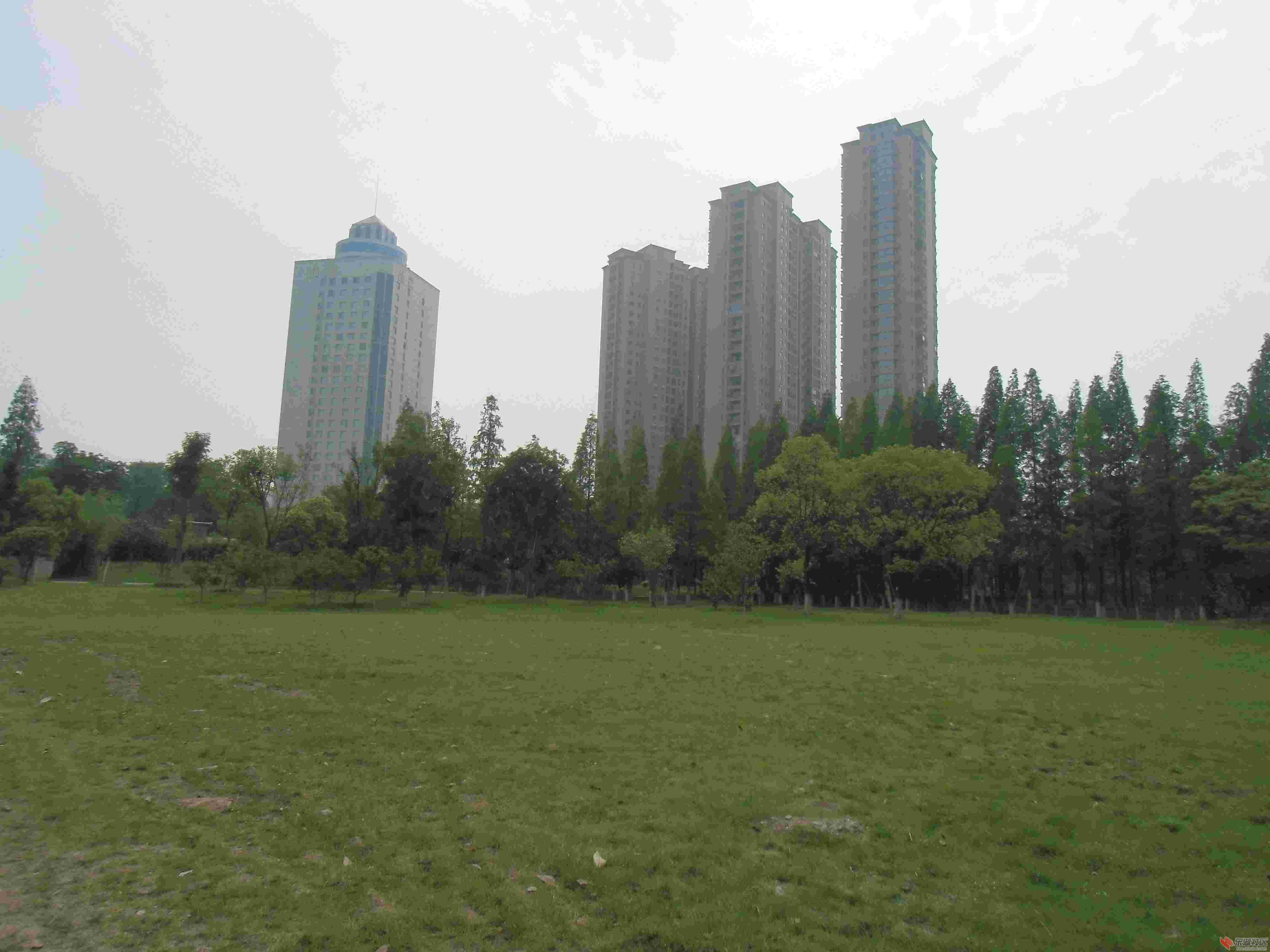 CIMG0630.jpg