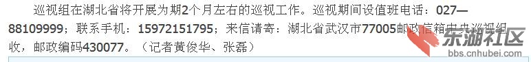 巡视组.jpg