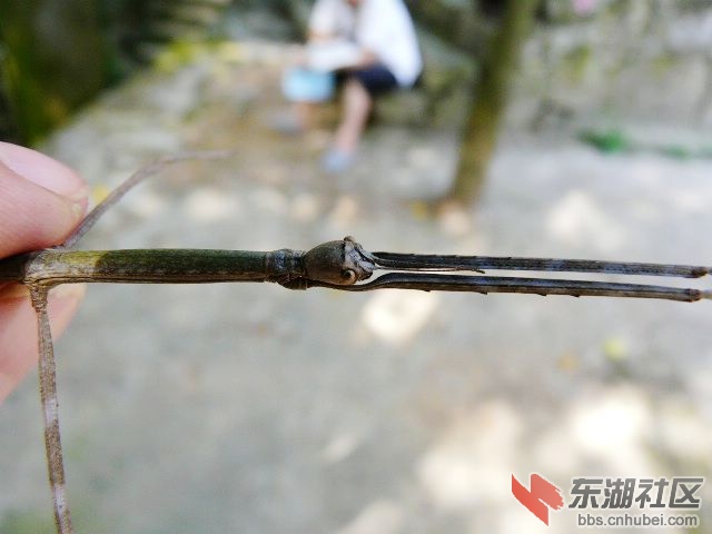 P1950687.JPG