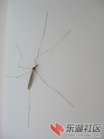 照片 005.jpg