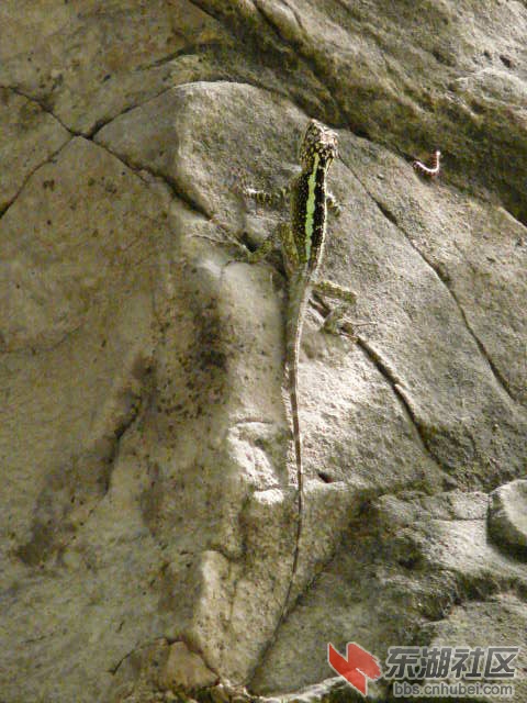 P1130059.JPG
