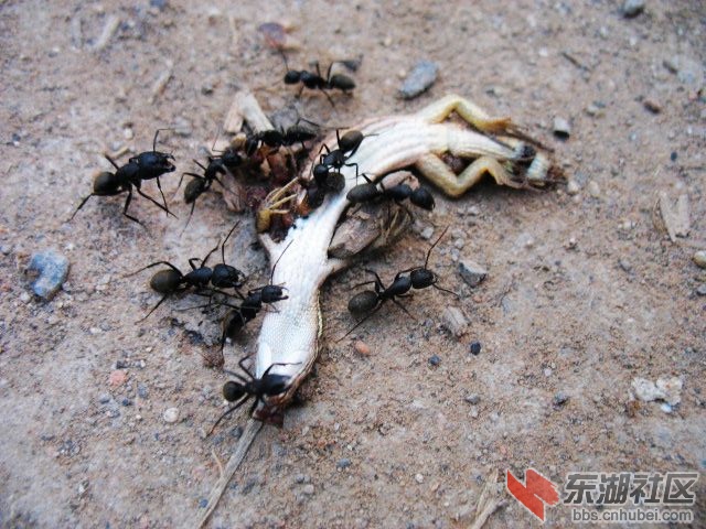照片 171.jpg