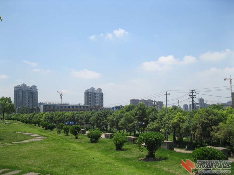 IMG_1319_副本.jpg
