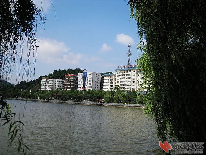 nEO_IMG_IMG_0814.jpg