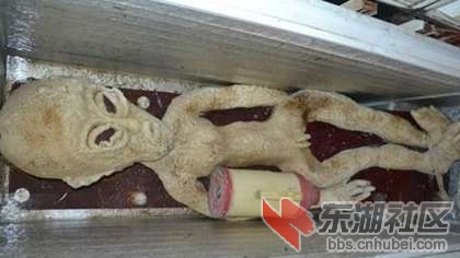 屍體保存在大冰箱內