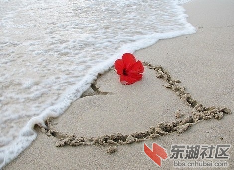 花落桑田.jpg