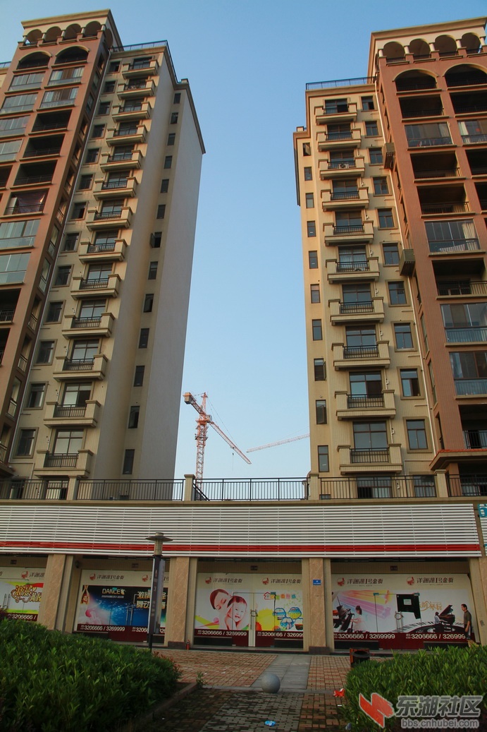 IMG_2811_调整大小.JPG