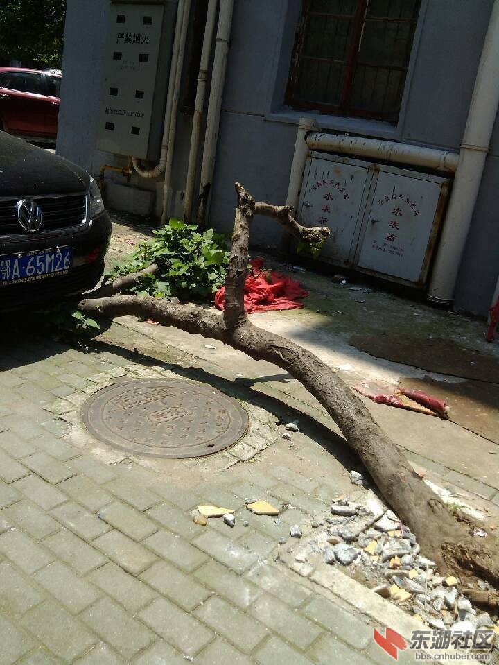 QQ图片20130612114313.jpg