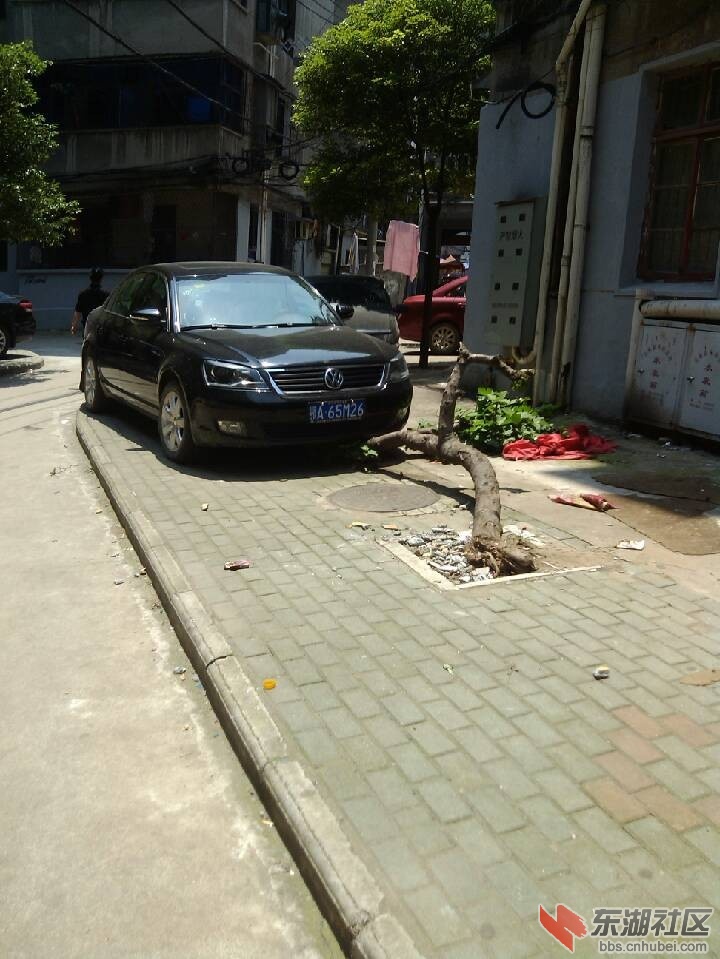 QQ图片20130612114301.jpg
