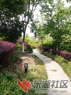 50175_2013043010401000_20130430_104010_副本.jpg