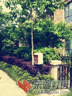 50177_2013043010401700_20130430_104017_副本.jpg