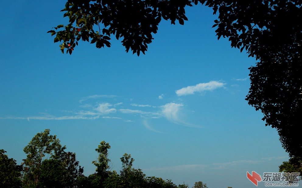 IMG_3214_调整大小.JPG