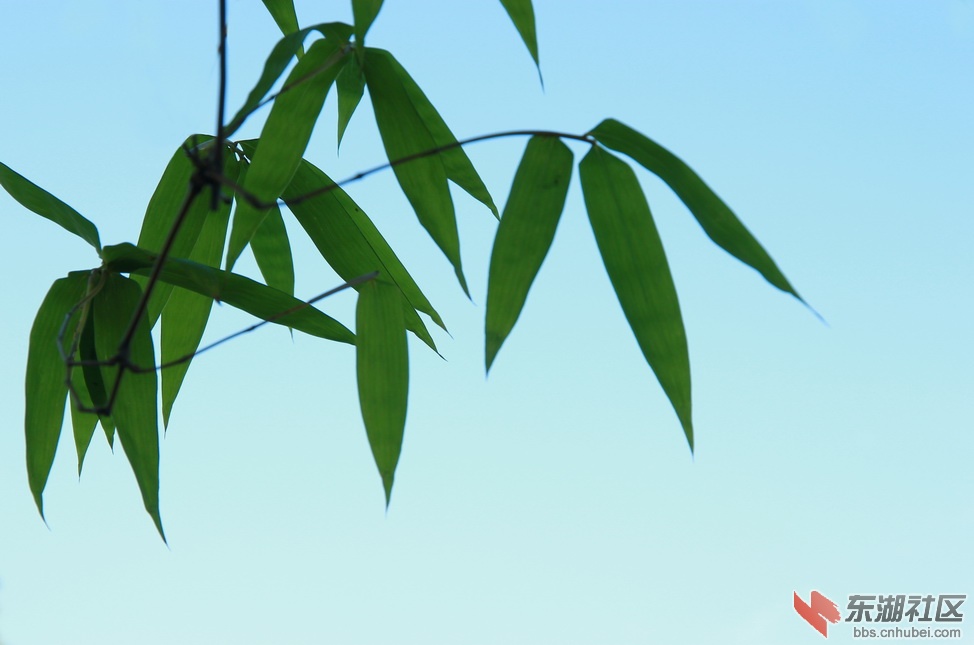IMG_3156_调整大小.JPG