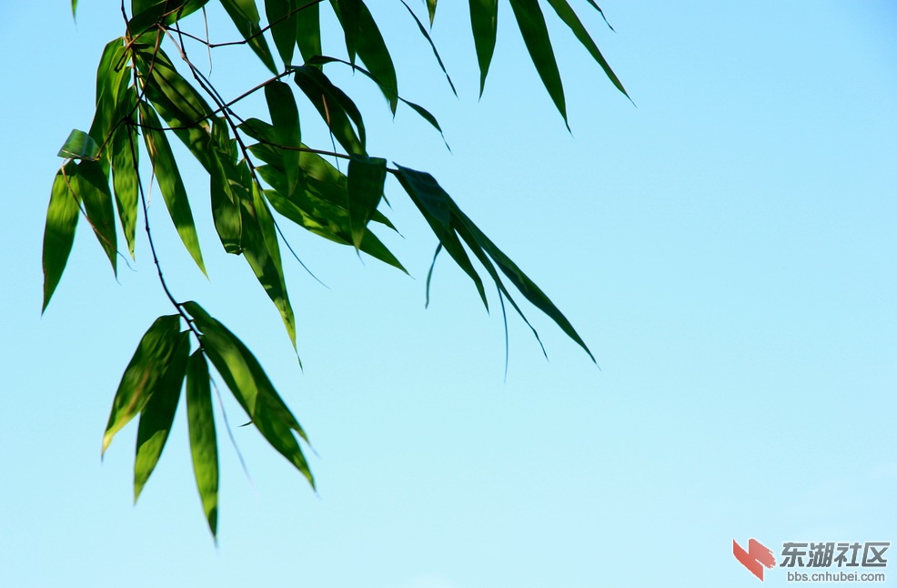 IMG_3164_调整大小.JPG