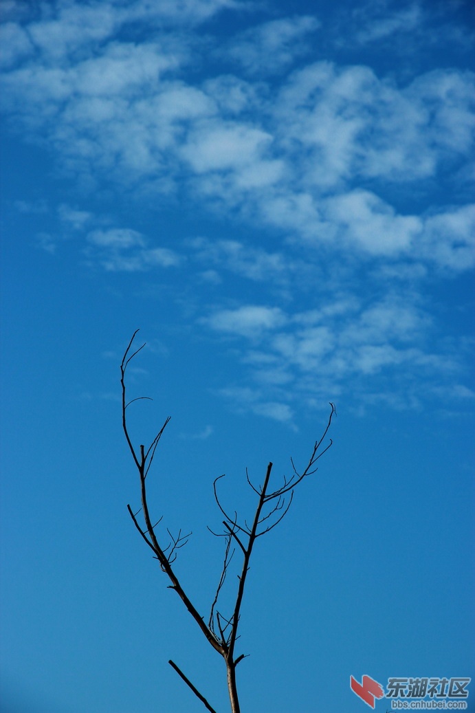 IMG_3166_调整大小.JPG
