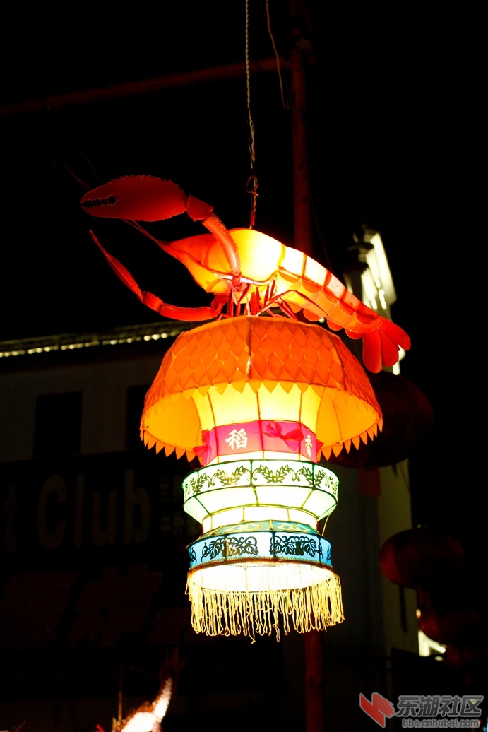 _MG_1290.JPG