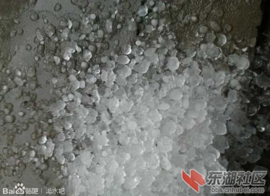 QQ图片20130613211820.jpg