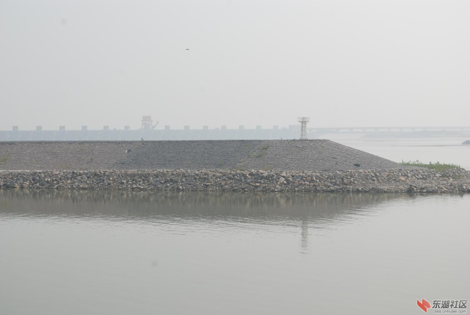 DSC_3390.JPG