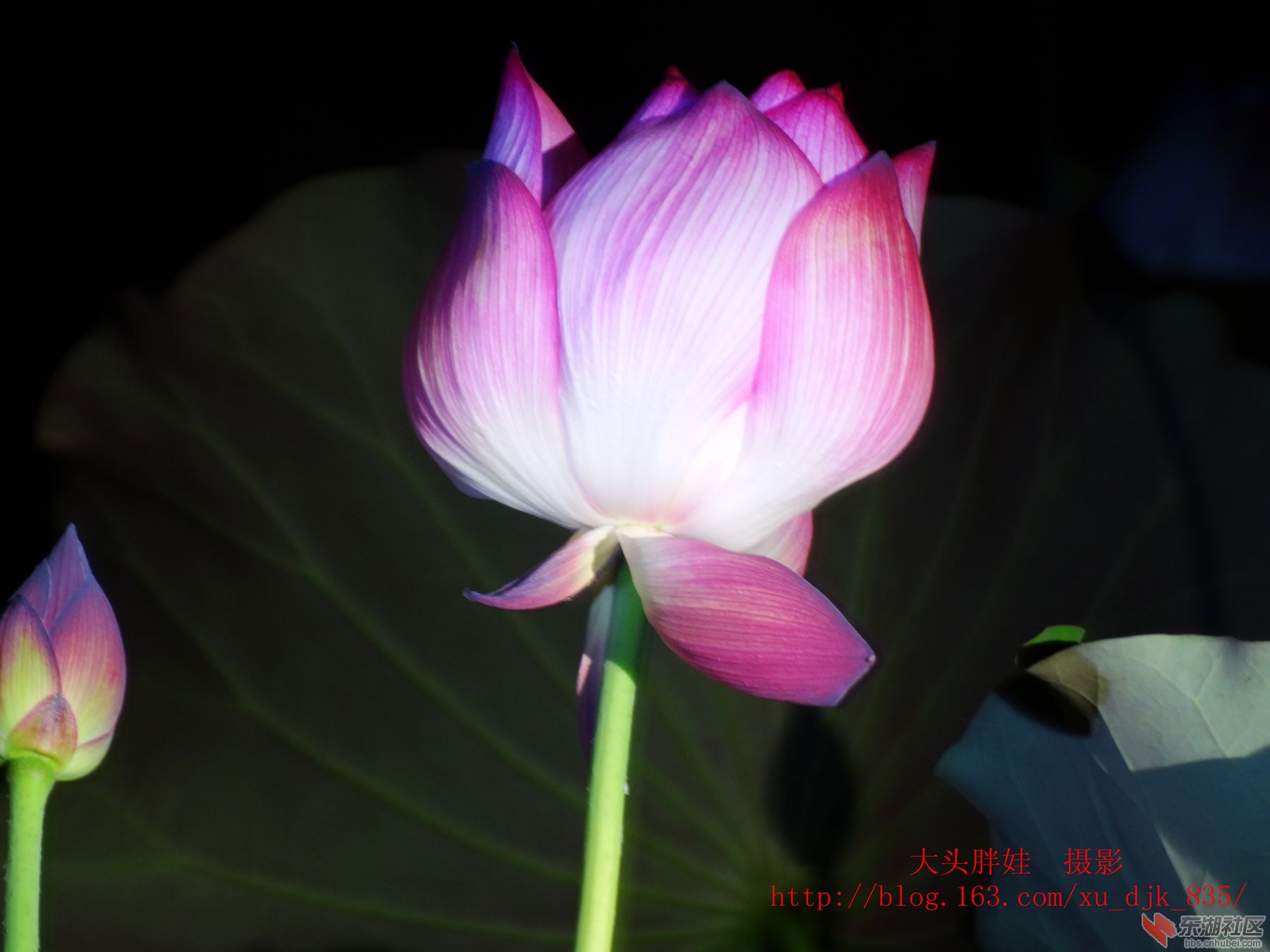 DSC07556_副本8.jpg