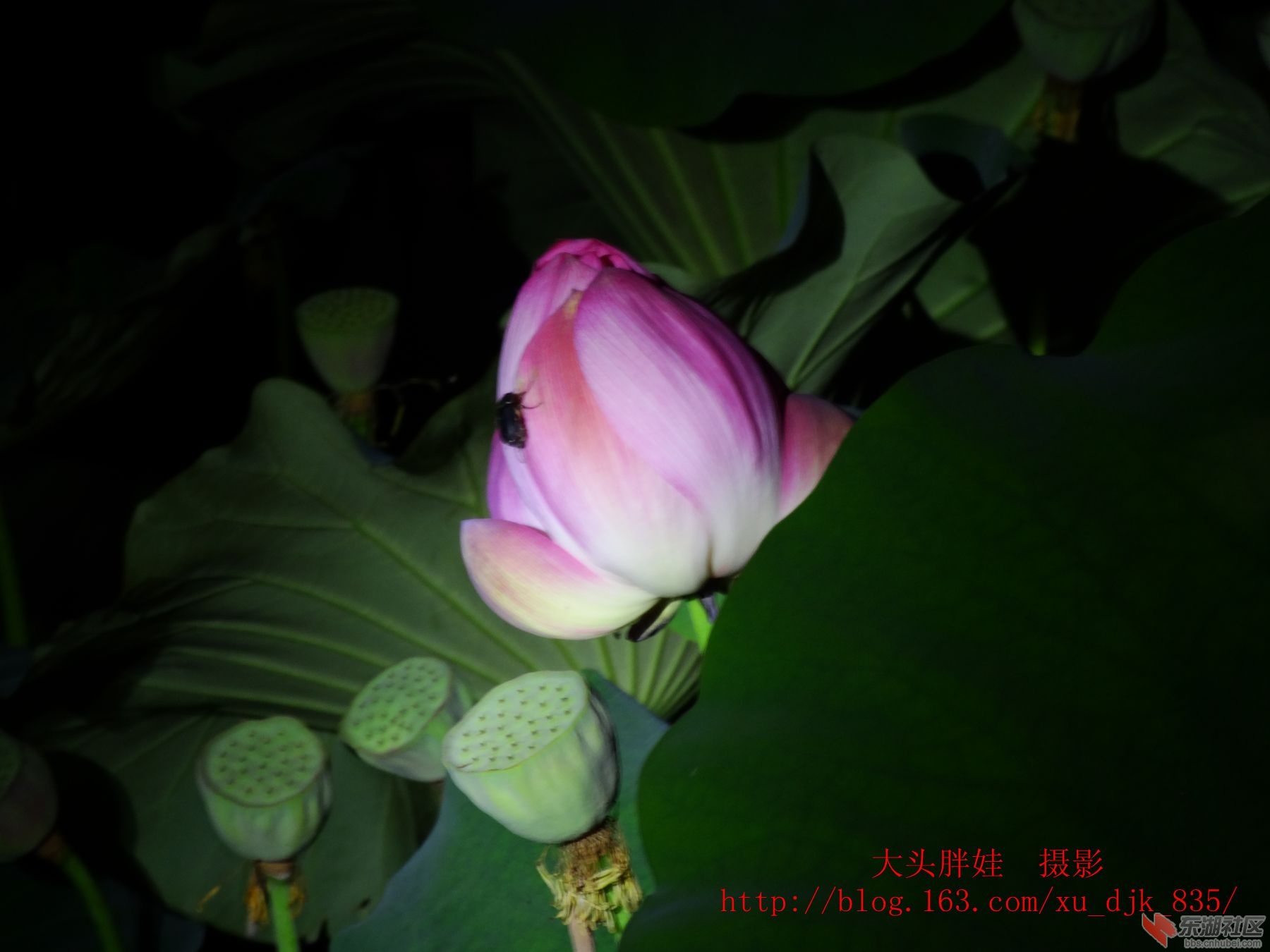DSC07517_副本8.jpg