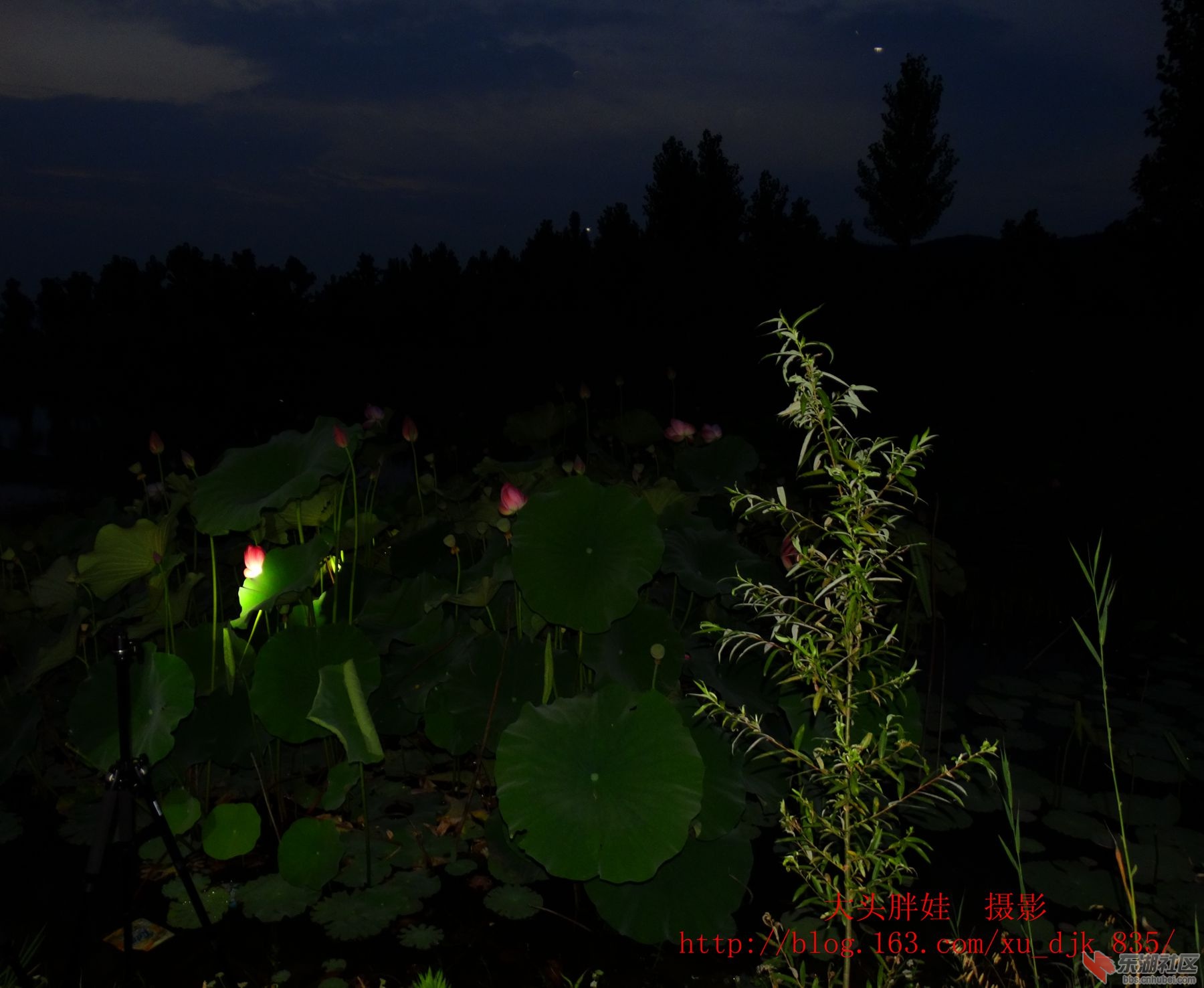 DSC07514_副本8.jpg