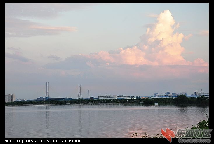 nEO_IMG_DSC_0984.jpg