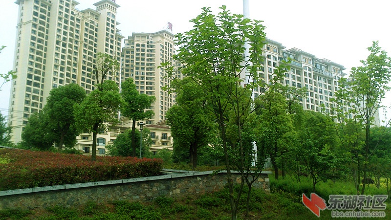 DSC_0252_副本.jpg