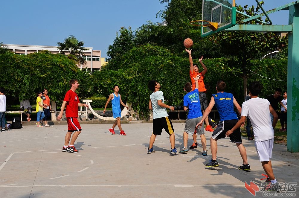 nEO_IMG_DSC_1260.jpg