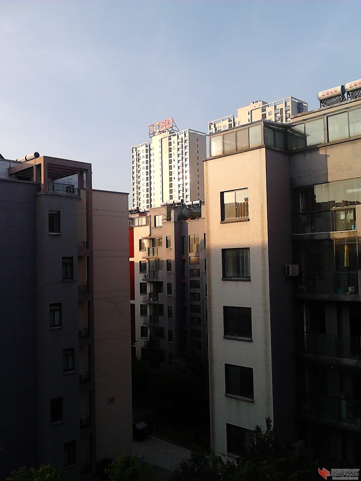 IMG_20130618_062134.jpg
