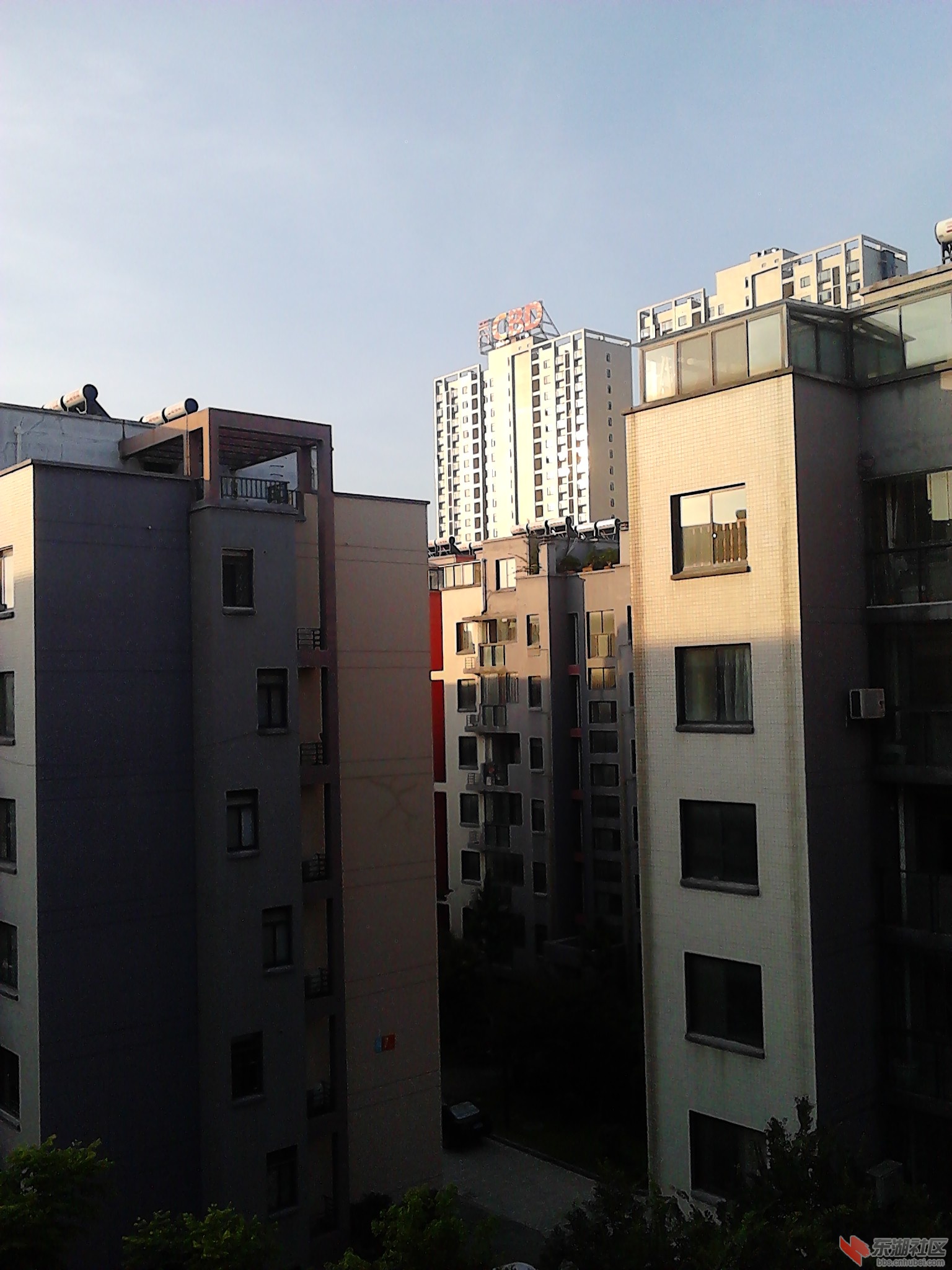 IMG_20130618_062148.jpg