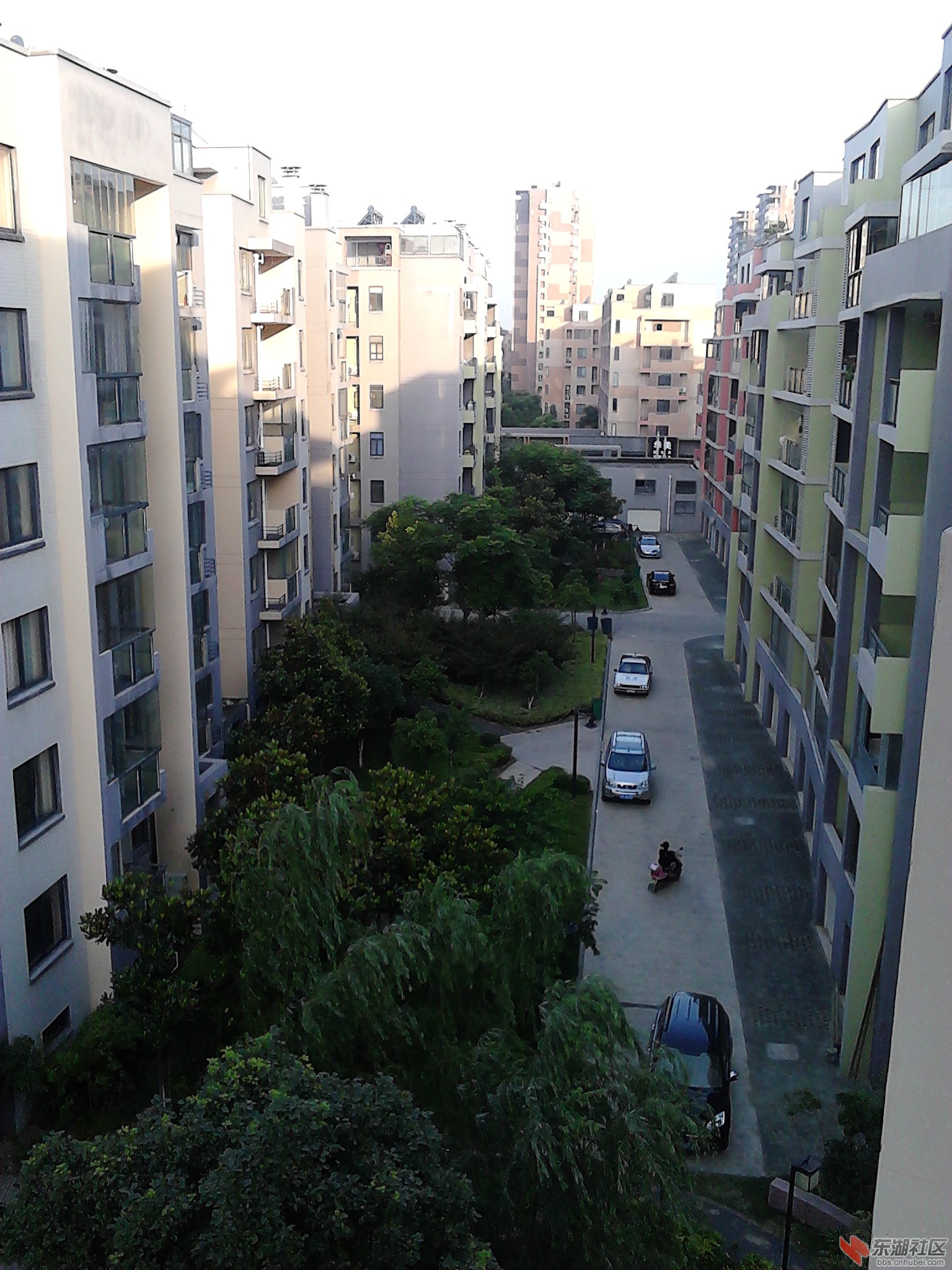 IMG_20130618_062307.jpg