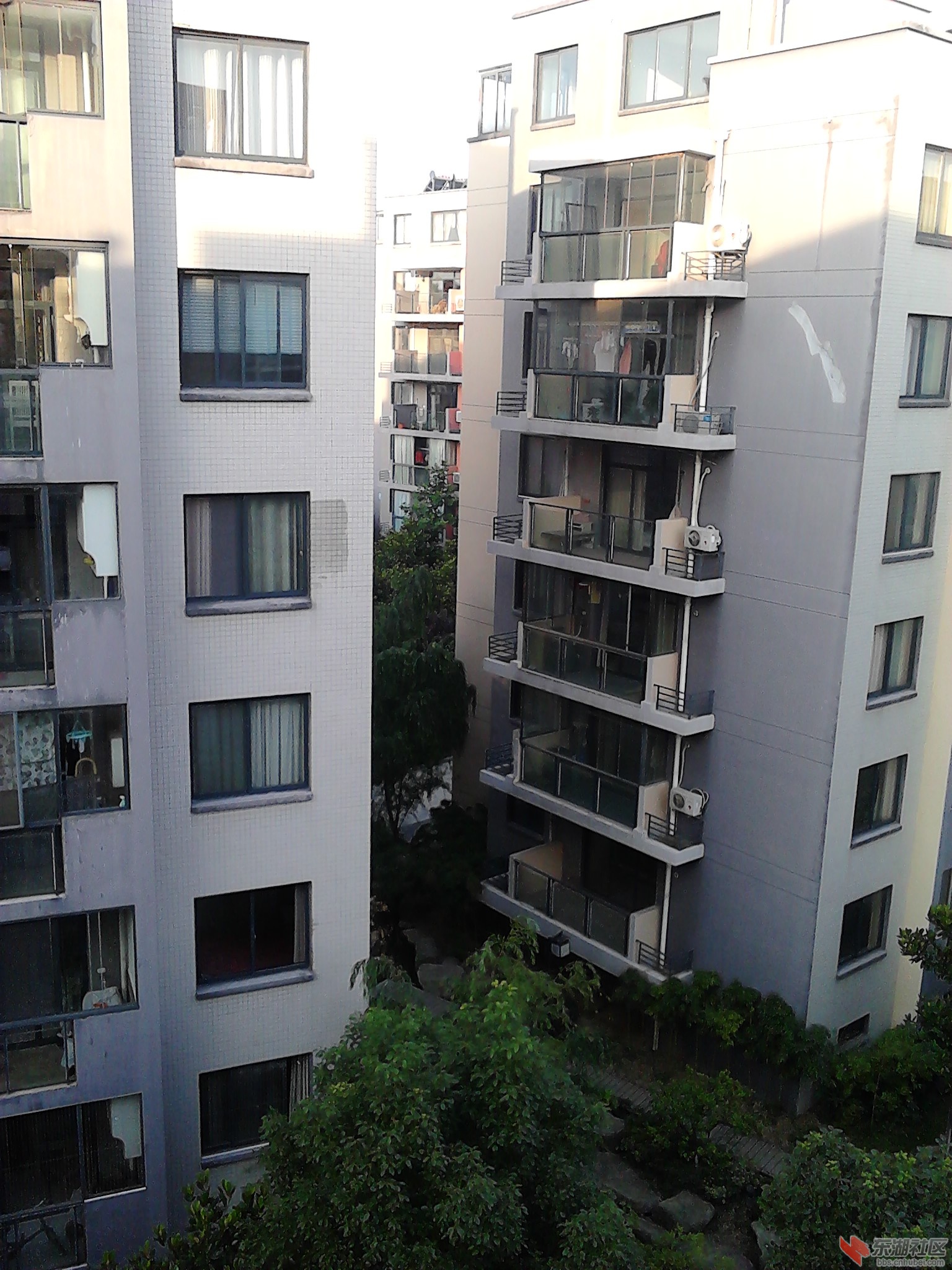 IMG_20130618_062322.jpg
