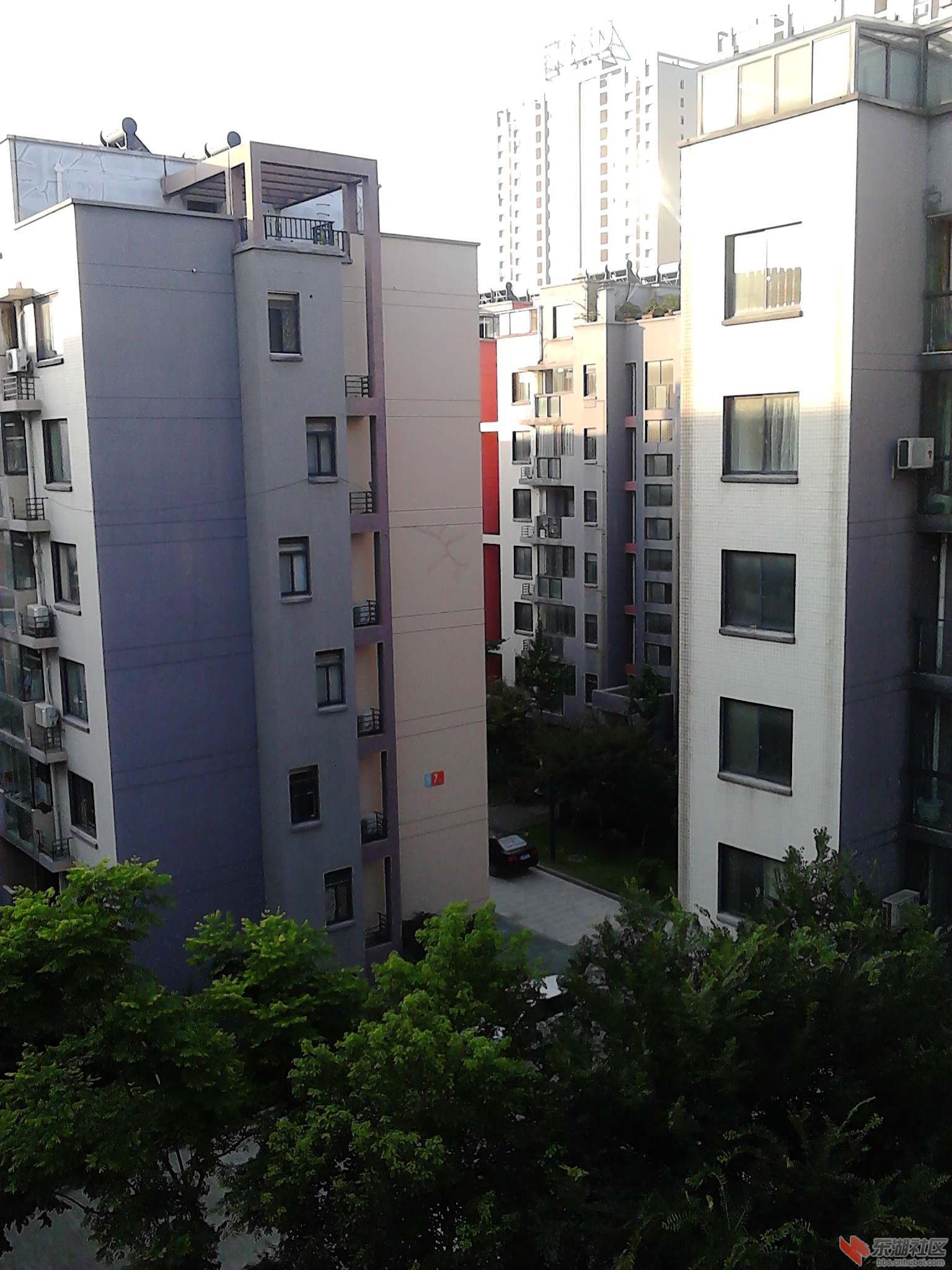 IMG_20130618_062351.jpg