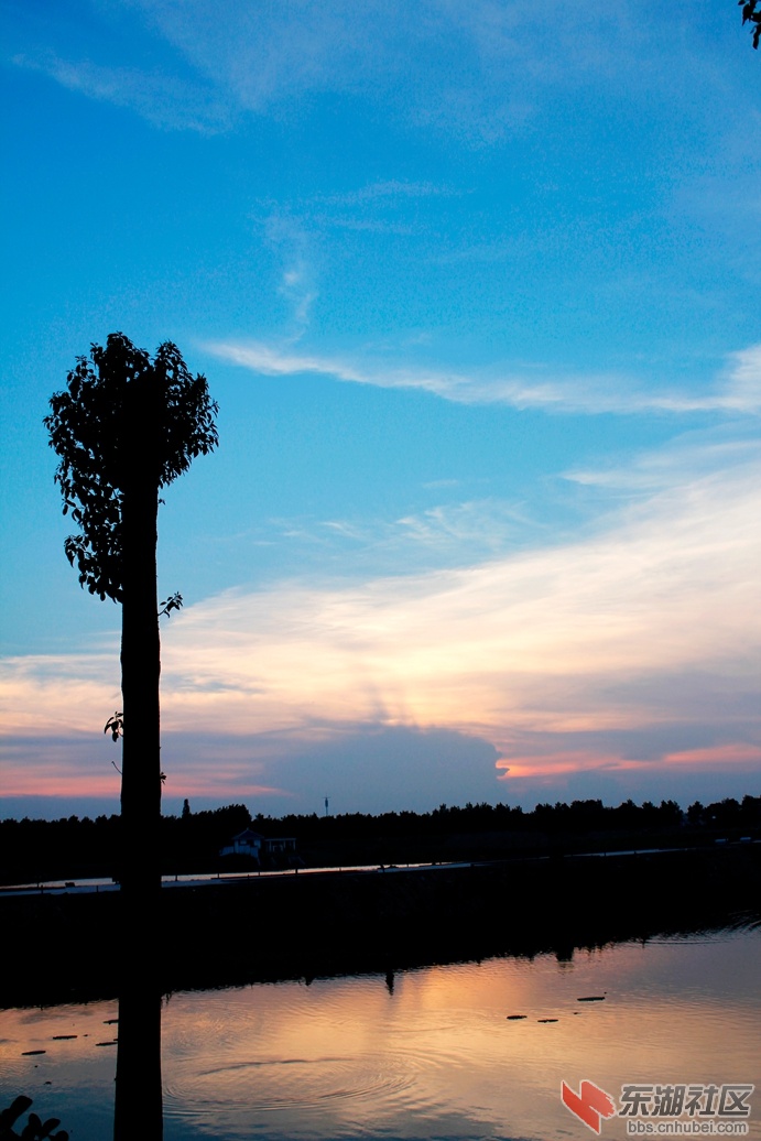 _MG_1518.JPG