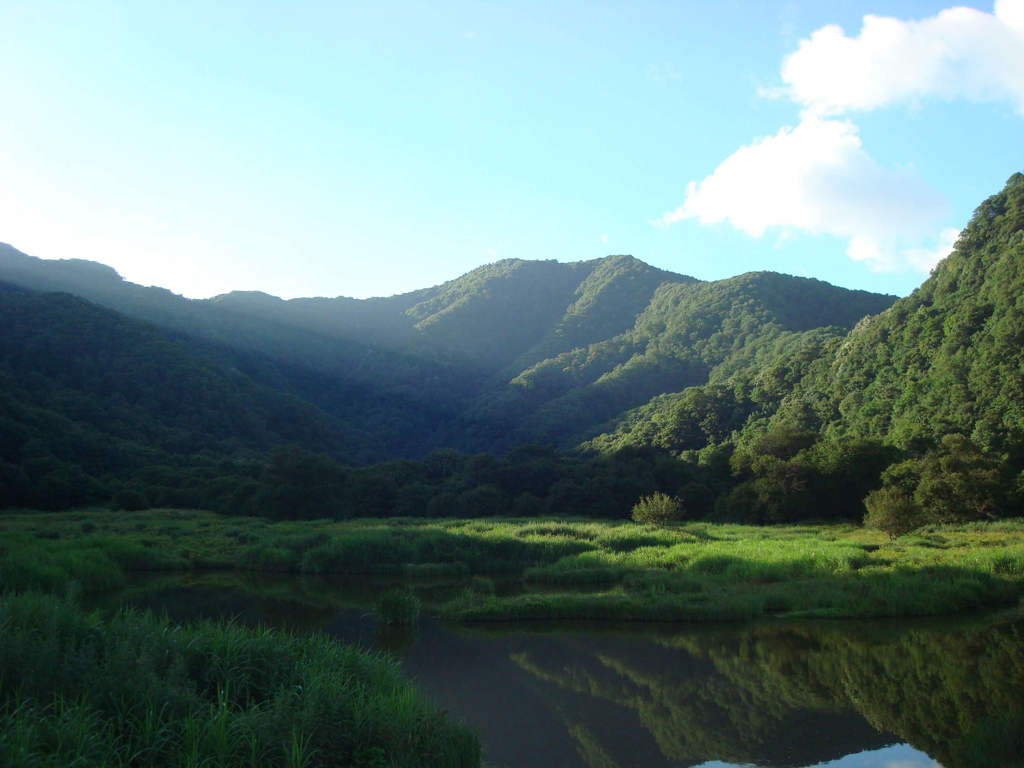 DSC01751.jpg