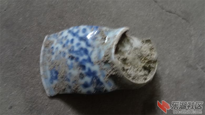 DSC09445.jpg