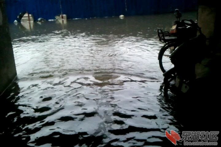 南浦路一小区雨在下，水在涨