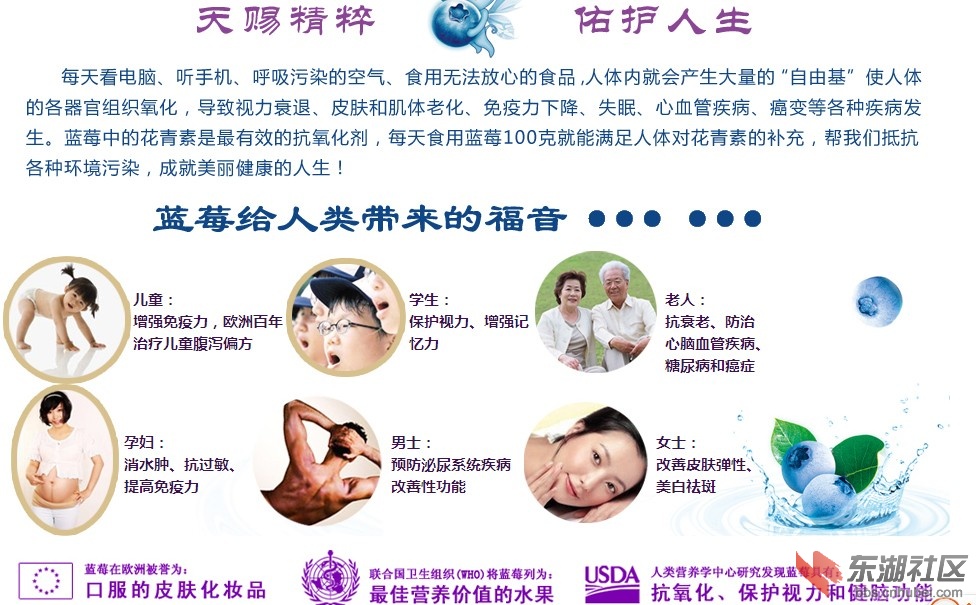 蓝莓之约版.jpg