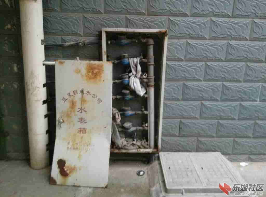 IMG20130623111742729.jpg