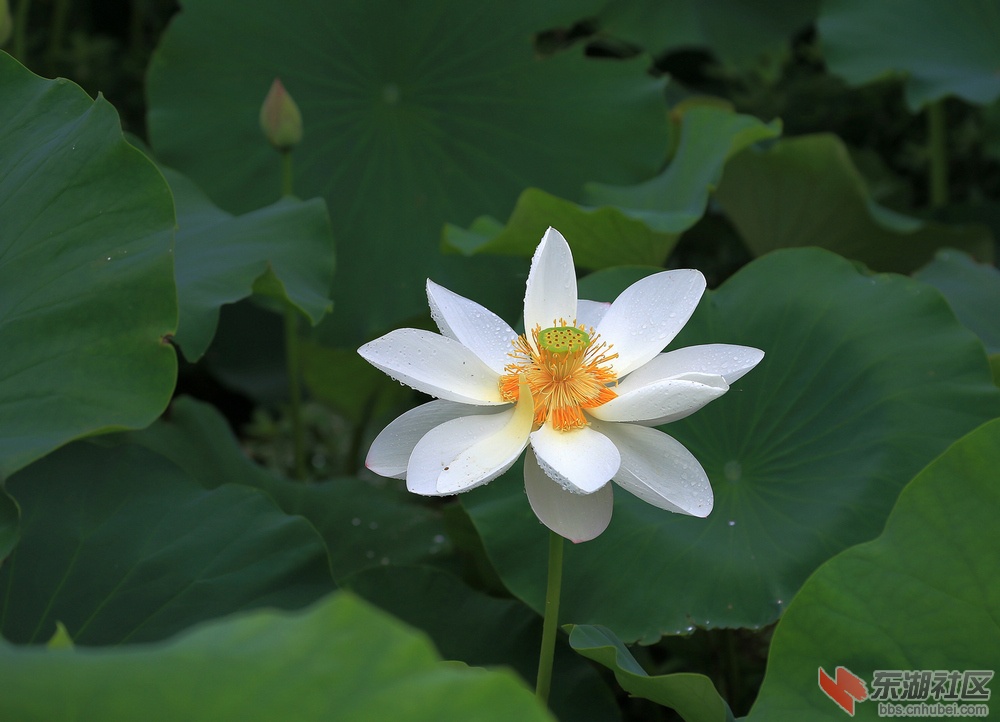 IMG_2078.jpg副.jpgf.jpg1.jpg