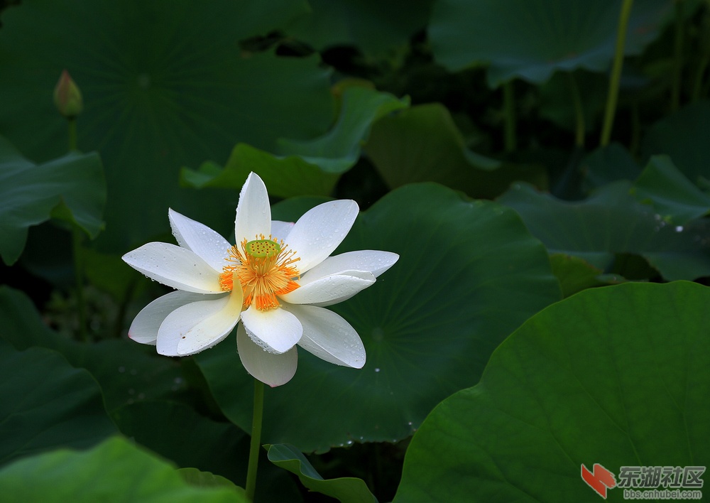 IMG_2079.jpg副.jpg发.jpg1.jpg