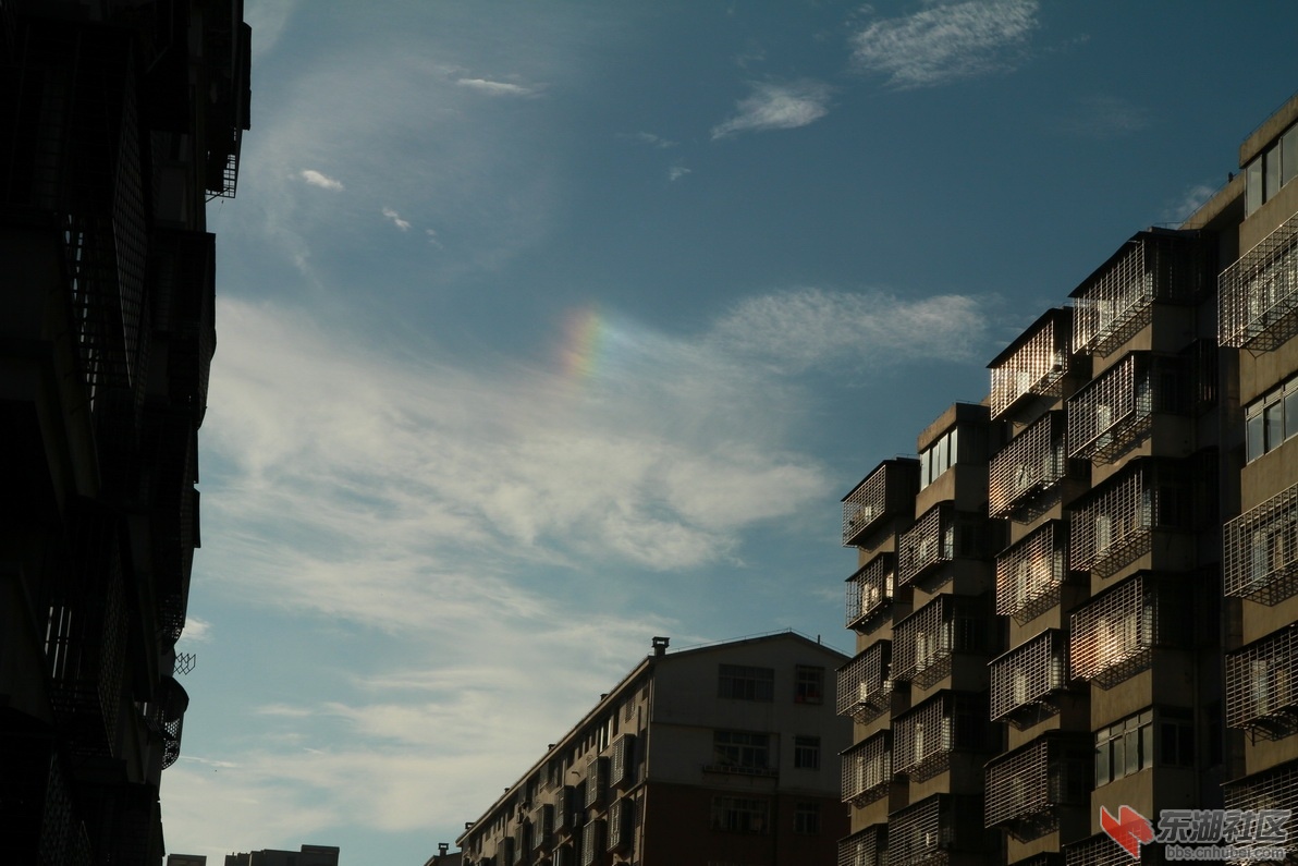 IMG_8052_调整大小.JPG