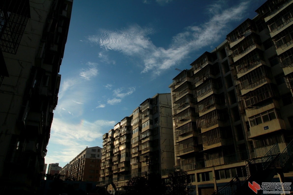 IMG_8055_调整大小.JPG