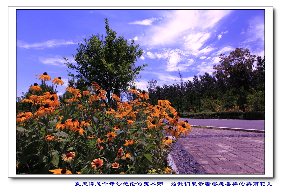 IMG_5112a.jpg