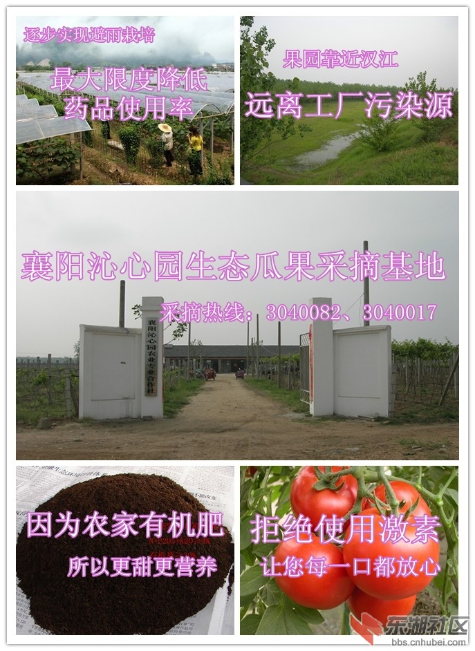 沁心园元素说明.jpg