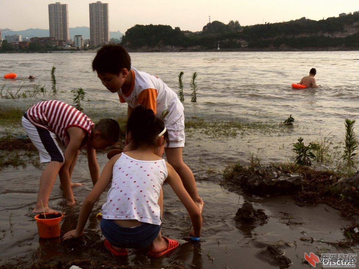 夏日的三江7.jpg