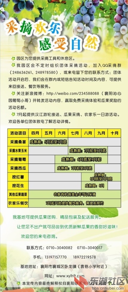 沁心园宣传单2.jpg